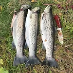 Ferienhaus Flott Og Naust Med Beliggenhet Ved Vannet!