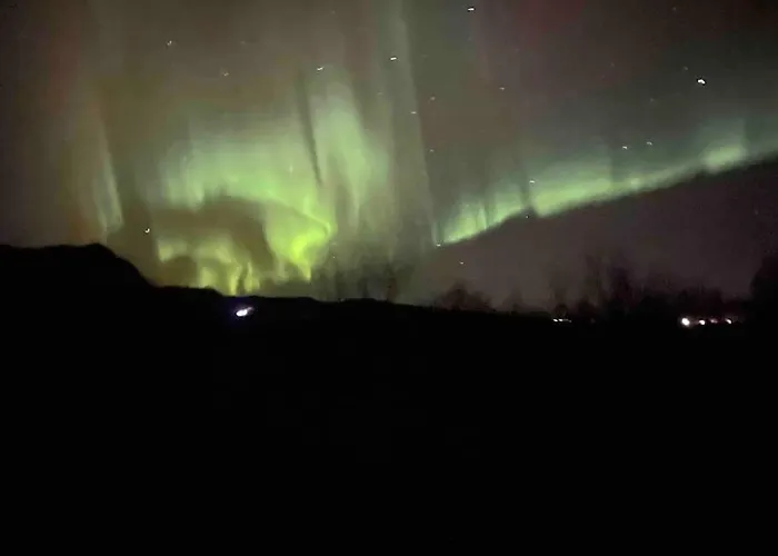 Flott Og Naust Med Beliggenhet Ved Vannet! Ferienhaus *